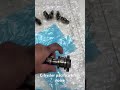 Pacifica 3.6 bad rocker arm, camshaft, loud noise 