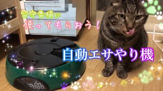 【自動エサやり機】留守番猫ちゃんにエサをあげたい Automatic Pet Feeder