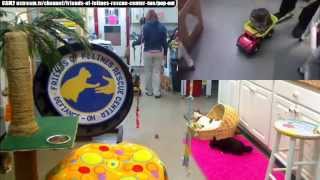 FFRC 20150125 Joni+Trucker 2-in-1