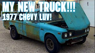 MY NEW PROJECT TRUCK (1977 Chevy Luv!)