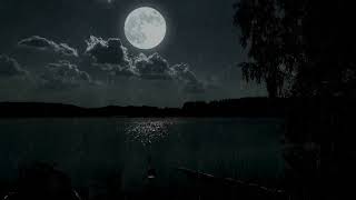 Calm Night Rain with Silver Moon Reflections on the Quiet Water 3 Hours