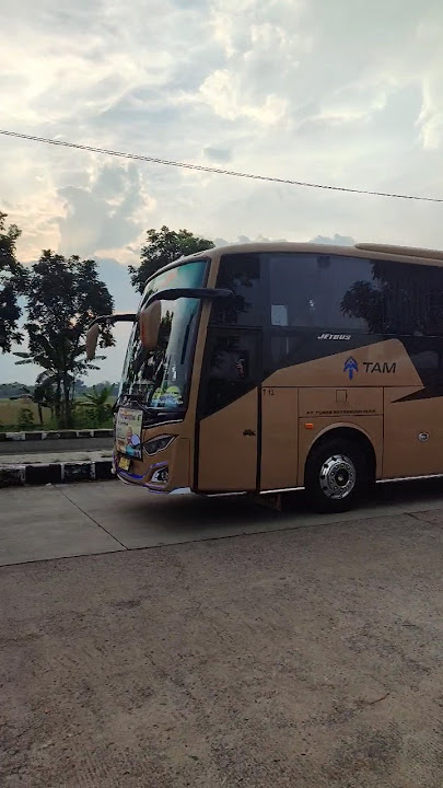 BASURI KU HAMIL DULUAN bus TAM #teloletbasuri #basuri #haryanto #basurihorn #shorts