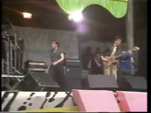 TC Matic live @ PINKpop 1983 - Que Pasa - Le Java - Touch Me - O LaLa c'est Magnifique