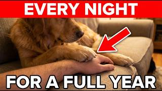 My Dog Put His Paw On Me Every Night For A Year — This Is What He Was Trying To Tell Me