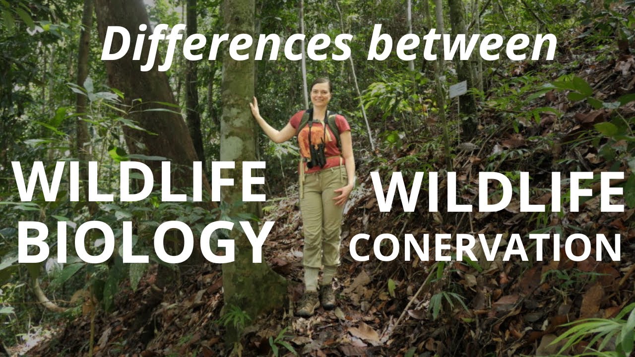 Wildlife Biology and Conservation Differences
