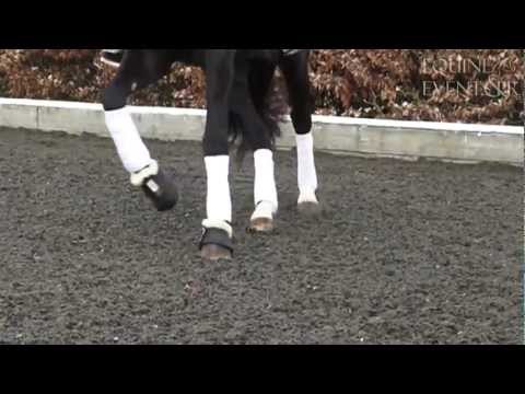 Montage Slow Motion HD 