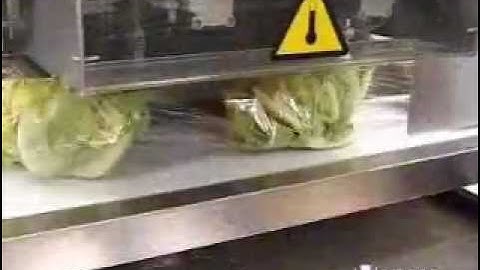 Cauliflower packaging in flow pack wrapper (HFFS) in shrink film