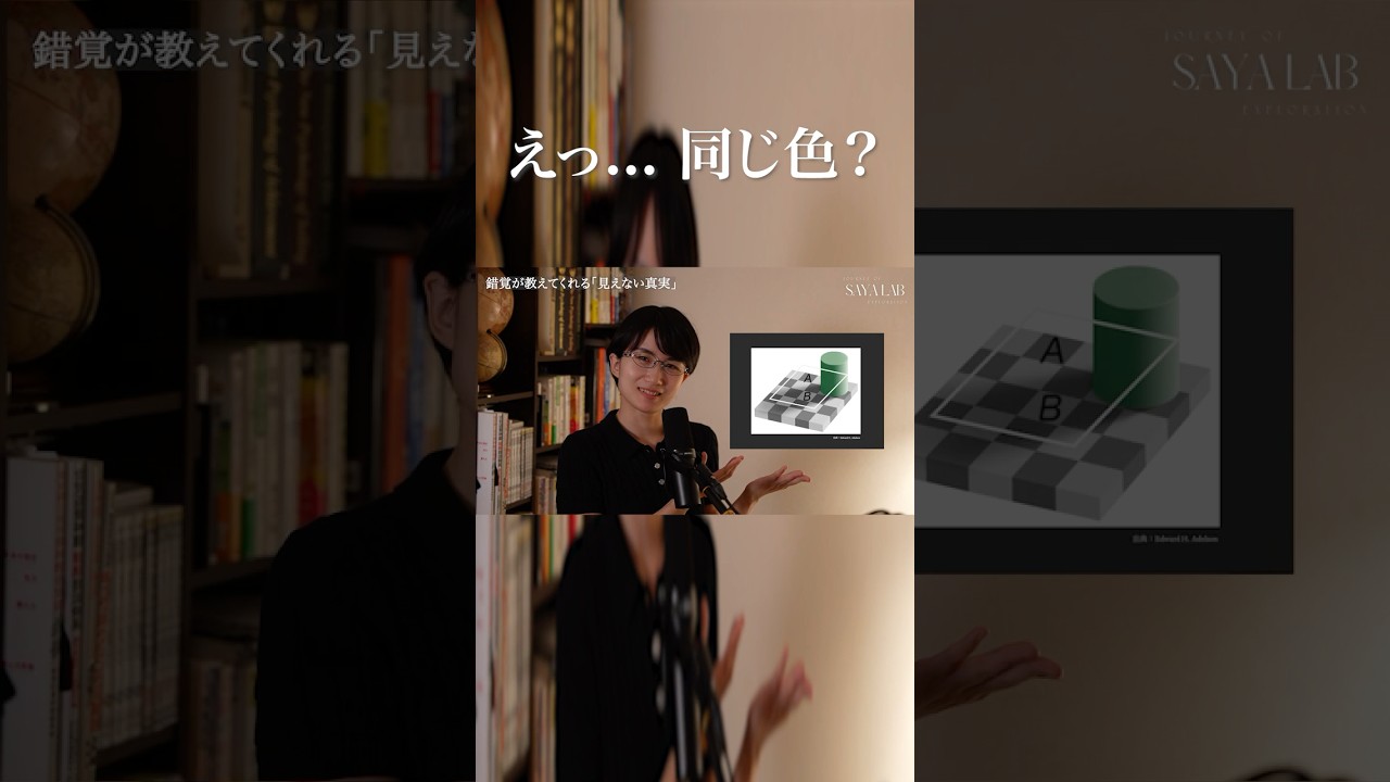 【心理実験】脳は“現実”を見ていない。錯覚が教える成功と幸福の真実 #心理学 #名言
