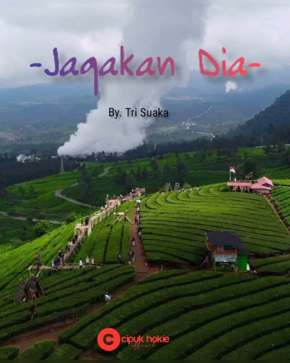 JAGAKAN DIA ( TRI SUAKA ) - Story WA