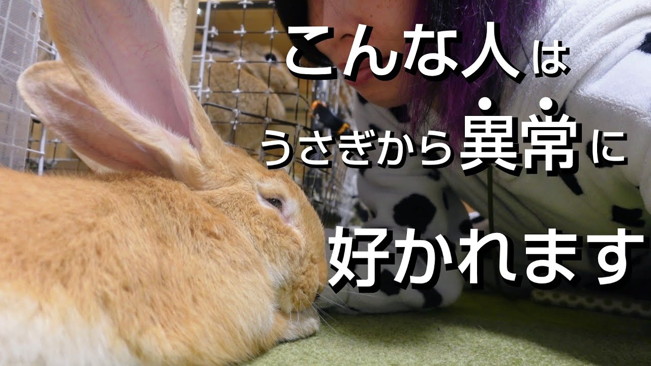 うさぎです。 Super surprising!?] 8 traits of people who are incredibly popular