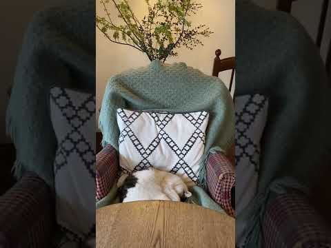 相席。 - 散歩するアンドロイド