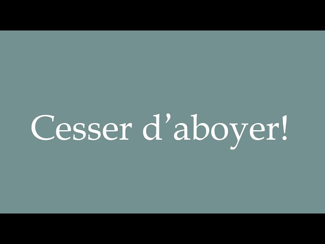 How to Pronounce ''Cesser d'aboyer!'' (Stop barking!) Correctly in French 