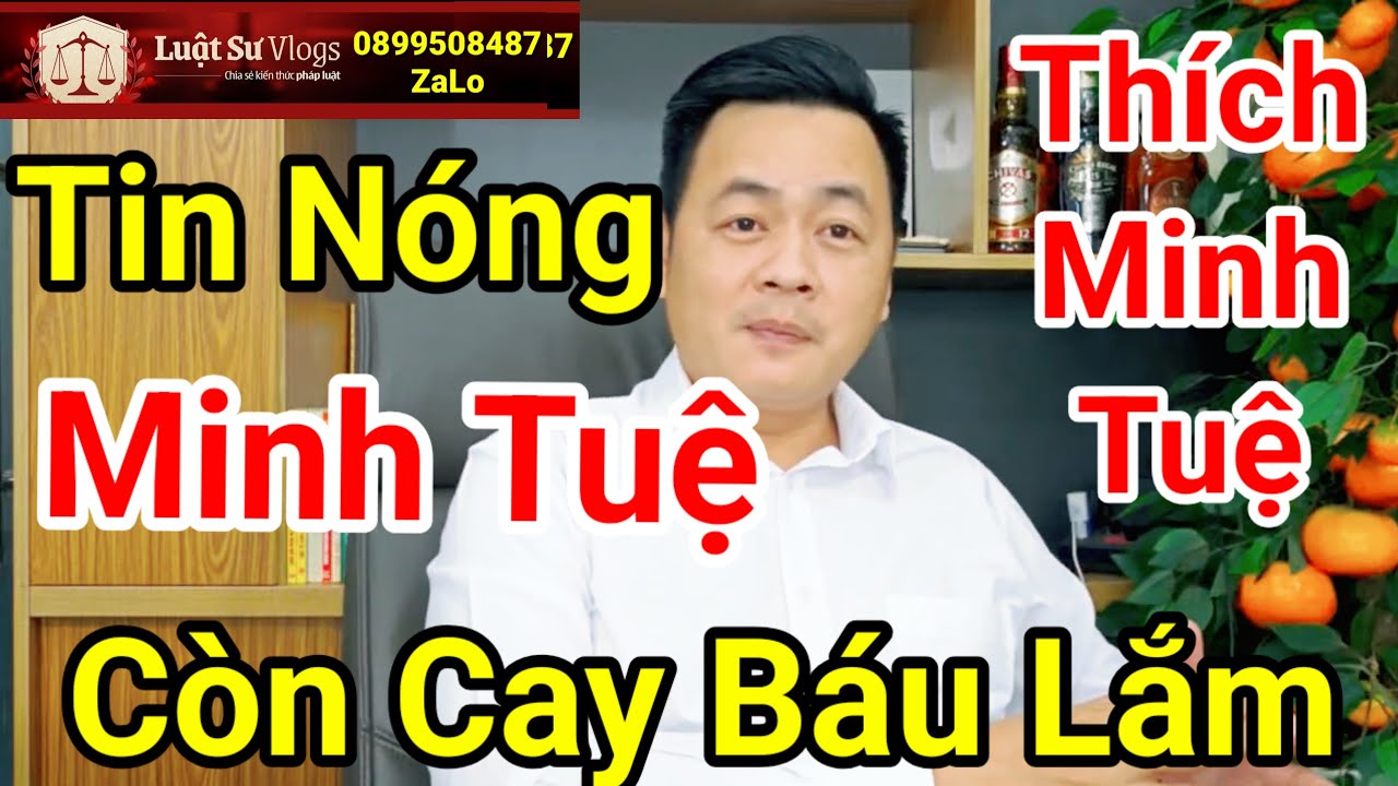 🔴 4 Bí Mật về Thích Minh Tuệ Mà Luật Sư Vlogs Không Muốn Bạn Biết ? Luật Sư Vlogs