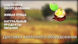 Доставка клеток // доставка клеток по России Доставка клеток // доставка клеток по России