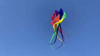 HQ KAP Foil 3.0 - Soft Swirl 6m - Metropolis Drachen