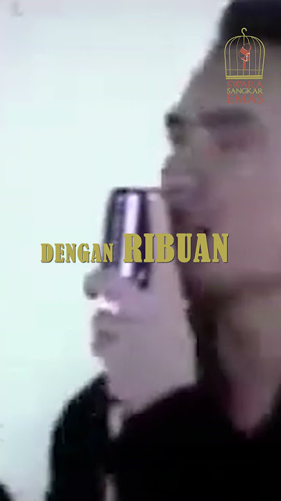 Line - Kucing Betina #shorts #short #shortmusic #musik