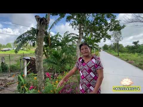 Video 09 Gia Đình Chồng không tôn trọng, Người Vợ Nói một... - youtube