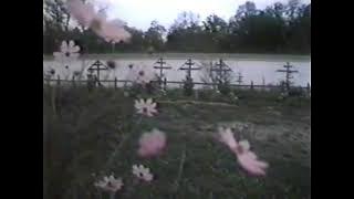 قالولي يحب غيرك | مسرع