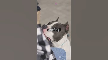 Mind blowing Facts🫣😳 #facts #funfacts  #funfacts #universe #midjourney #earth #chatgpt #world #top