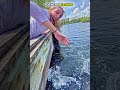 Normal skill VS King of fishing