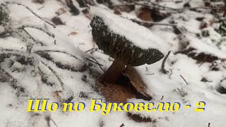 картинка: Зимова прогулянка, або 