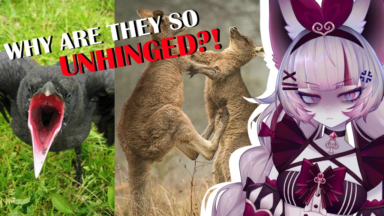 Nature is Truly TERRIFYING | Top 10 Animals with Black Air Force Energy | Casual Geographic reaction