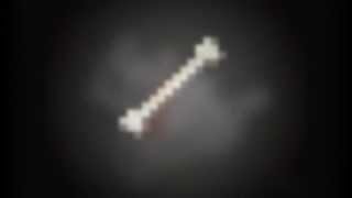 RIP Bone the Loyal Minecraft Wolf screenshot 4