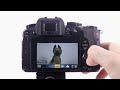 Middle of video