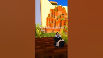 How does Blockchain ensure data integrity?