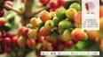 The History of Coffee: From Origins to Modern-Day ile ilgili video