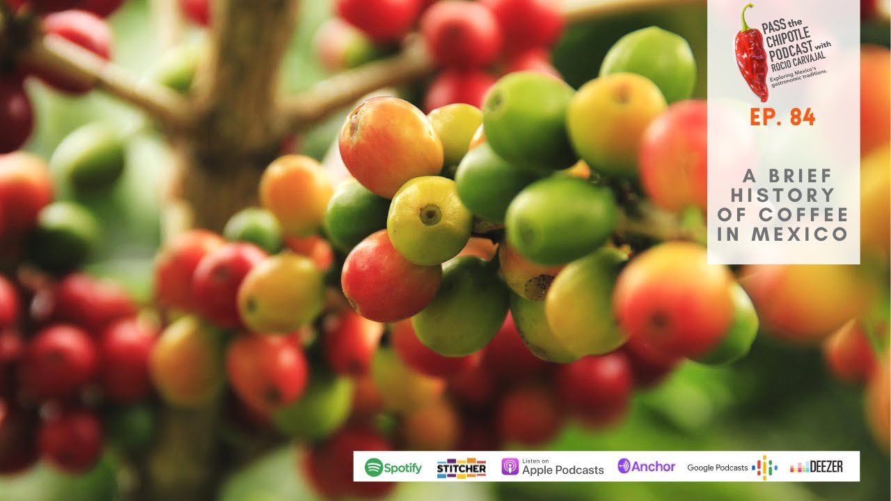 A brief history of coffee in Mexico