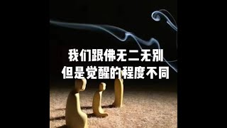 201908 我们跟佛无二无别　但是觉醒的程度不同51334