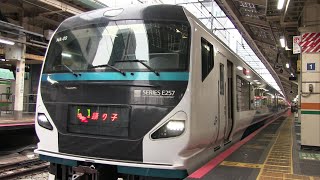 ＪＲ東海道線　東京駅　Ｅ２５７系２０００番台（踊り子）