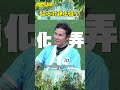 協志封鎖主謀！？【飢餓遊戲】#shorts #hungergames #飢餓遊戲 #孫協志 #王仁甫 #許孟哲 #蔡黃汝 #冼迪琦 #何豪傑 #綠茶 #林莎 #徐新洋 #邊荷律