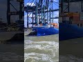 COSCO ANTWERP//COSCO SHIPPING @sanjaytandel2548