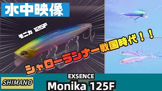 【水中映像】シマノから本気のシャローランナー出た!シーバスに新たな嬉しい選択肢!【エクスセンス】【モニカ125F】
