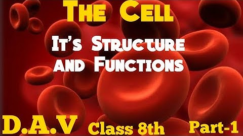 D.A.V ||Science || Cell : it