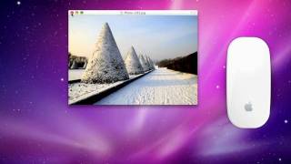 Apple vs NuKit close button News