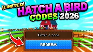 [LIMITED] HATCH A BIRD Codes 2026 *Roblox* ( How To Activat Codes in Hatch a Bird )
