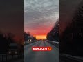 Всем Мира, любви, добра и здоровья друзья #тренды #влог #shorts