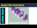 `ATTITUDE Air Purifier Lavender: A Passive Powerhouse for Fresh Air?