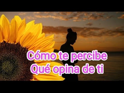 Vídeo: El rei de les espases en el tarot i el significat de la carta