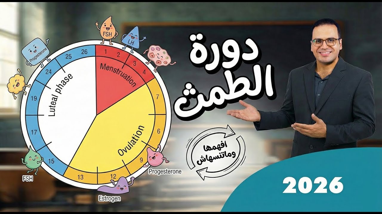 حل كتاب التفوق دورة الطمث
