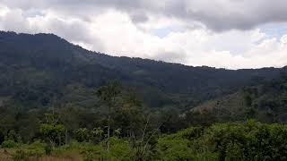 T.108 PM Pulau Timun TJS