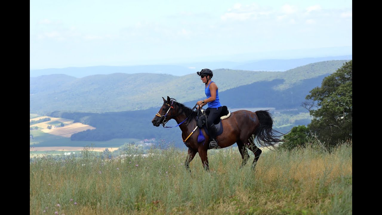 2024 Muckleratz 30 mile Limited Distance ride - Bee - YouTube