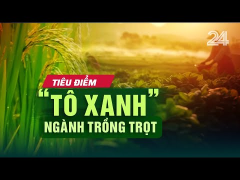 Tiêu điểm: ‘Tô xanh’ ngành trồng trọt | VTV24
