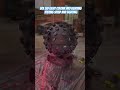Bol LED 🤠✨#djlight #djremix #song #trending #viralight #lightsetup #youtubeshorts #video