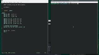 Famous ARMv7 Assembly using GNU Assembler: Arithmetic and values in registers Net Worth
