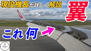 【実写映像：これって何？】飛行機の翼を詳しく解説！那覇空港に到着する飛行機に乗りながら現役機長が解説します。