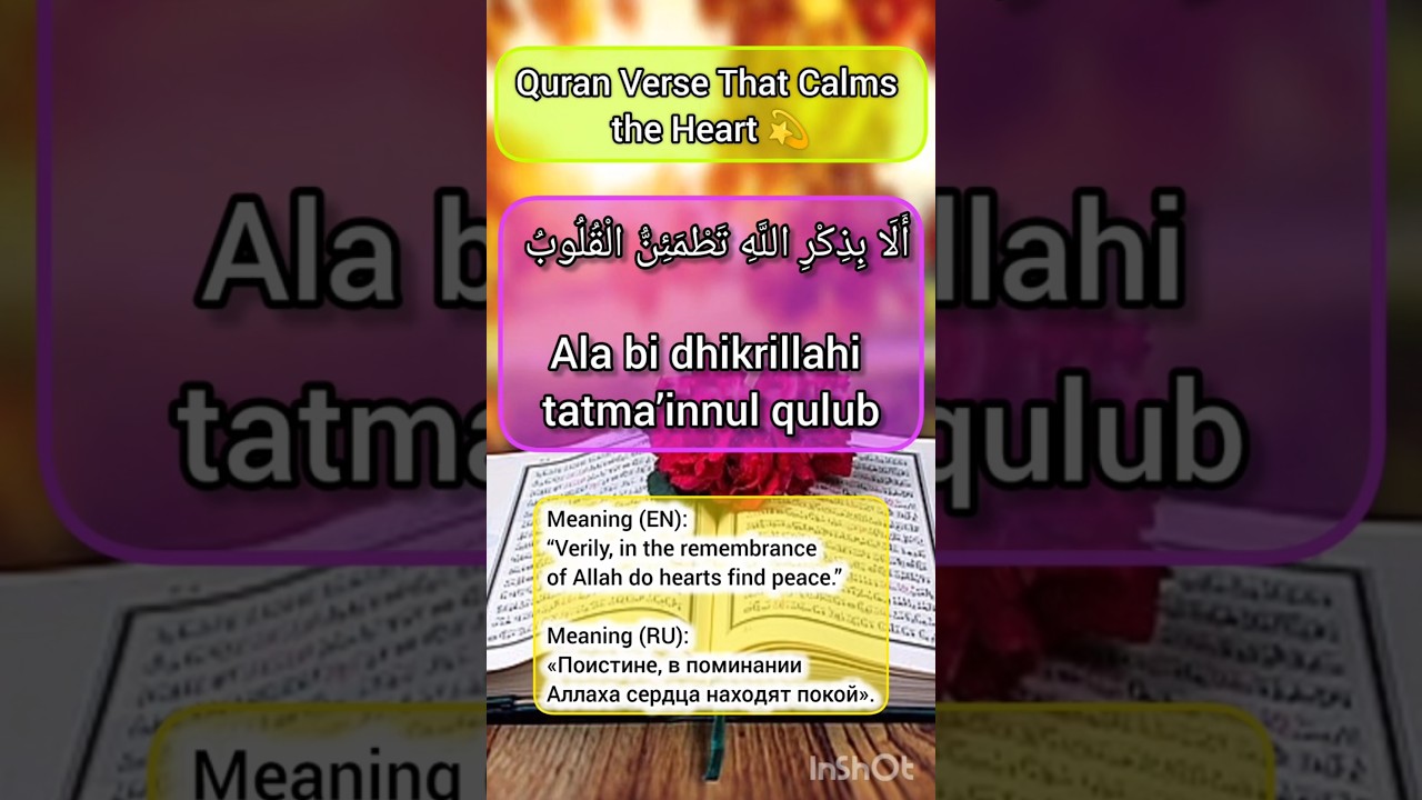 Quran Verse for Calm Heart. 